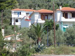 Azalea Skiathos Greece