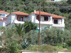 Azalea Skiathos Greece