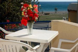 Elli Studios & Apartments Samos Greece