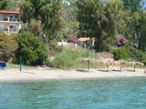 Azalea Skiathos Greece