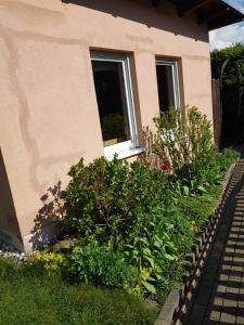 Ferienhaus Hankehübel