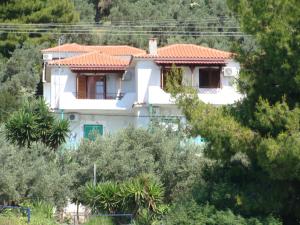 Azalea Skiathos Greece