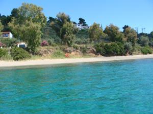 Azalea Skiathos Greece