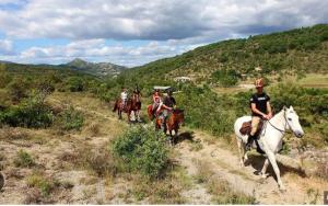 Sejours chez l'habitant Mon cocon ecolo - Un nid paisible dans la nature : photos des chambres