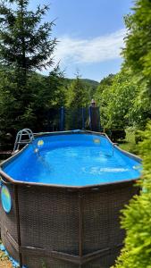 Two-Bedroom House (9 Adults) room in Teremok Guest House