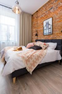 Apartament Żmigród