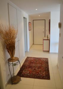 Appartements Appartement Vue Mer Corse Sud : photos des chambres