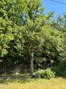 B&B / Chambres d'hotes Chambre Foret : photos des chambres