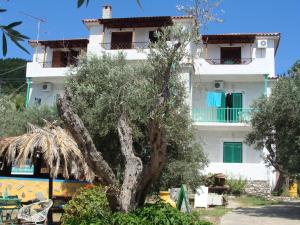 Azalea Skiathos Greece