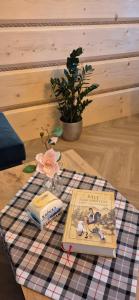 Apartamenty Wiktorówka