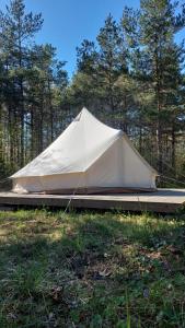 Jaagu Metsatelk neljale