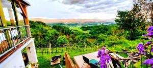 Studio in Novo mesto - dostava - Kranjska Krain 26035