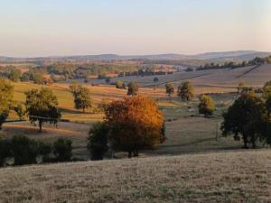 Maisons de vacances Holiday Home in Isenay near Lake and Forest : photos des chambres