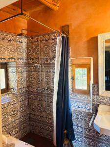 B&B / Chambres d'hotes Chateau de Durianne : photos des chambres