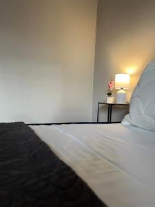 Il Tulipano - Villa con giardino