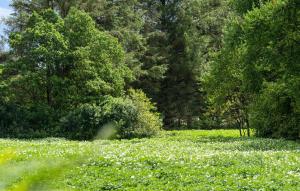 3 Bedroom Beautiful Home In Videbæk