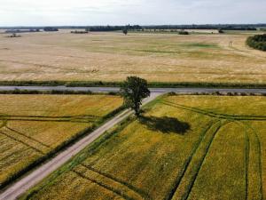 Hyggeligt hus på landet