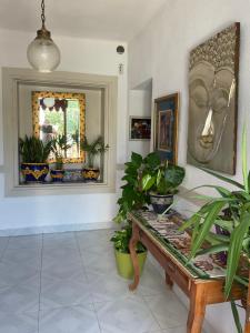 Tara Casa