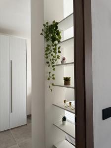 Domus Aura Apartments img13