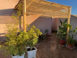 Acquamarina Apartment with Terrace