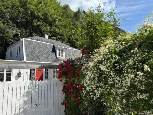 Villa Rjukan - 4hvězdičkové hotely ve městě Rjukan