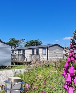 Polborder Holidays Looe Country Park