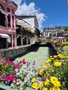 Magnifique Appartement au Centre de Chamonix