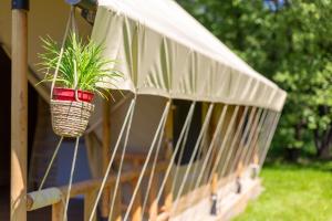 Januszówka - ranczo turystyczne