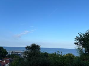 旅館青柳 海越し立山連峰の雪山絶景で休もう