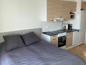 Studio apartment in Kuusamo