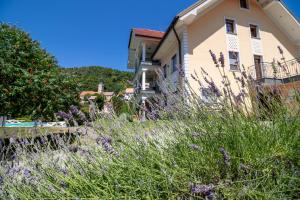 Vila Silva Marija Apartments 