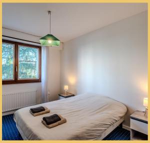 Appartements Chez Driss I T3 I Annecy : Appartement 3 Chambres
