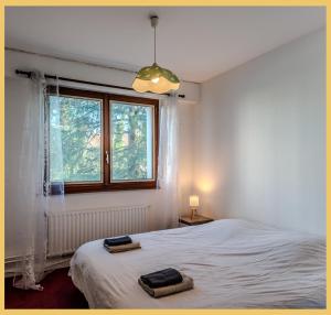 Appartements Chez Driss I T3 I Annecy : photos des chambres
