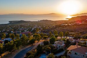 Hillside View house 3