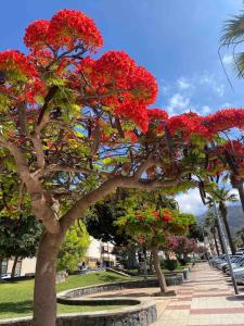 Seaview Villa - Pool, Air Con, Home Office Ready