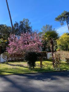 Appartements havre de paix : photos des chambres