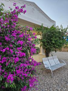 Marshalls Rajpur Estate,1950 - A Heritage Stay