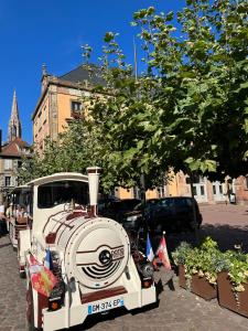 Appartements Bienvenue au Coeur d Alsace-centre Obernai -3 etoiles - : photos des chambres