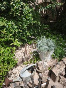 Maisons de vacances Cabanon provencal, piscine et jacuzzi partages : photos des chambres