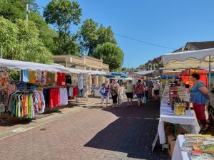 Maisons de vacances Villa T3 renovee, jardin arbore, proche station thermale - FR-1-841-52 : photos des chambres