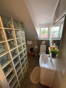 Pensiunea Dumbrăvița