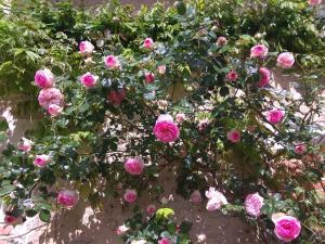 Maisons de vacances Eco-friendly house, near Angers5 bedrooms, 2 bathrooms : photos des chambres