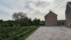 Appartements Les Marronniers : photos des chambres