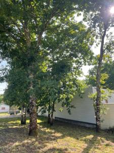 Villas Villa Detente : photos des chambres