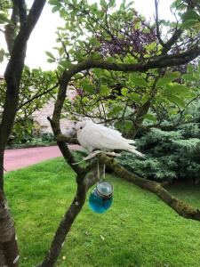 Appartements La Salicorne hebergement insolite : photos des chambres