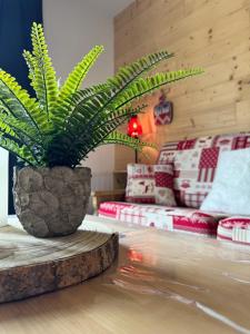 Appartement à La Bresse - cadre naturel et calme