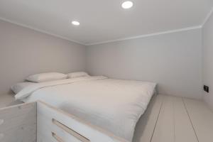 Beautiful Old Town Loft