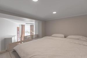 Beautiful Old Town Loft