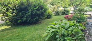 B&B / Chambres d'hotes Maison d'Hotes Sainte Hune Chambres et appartements : photos des chambres