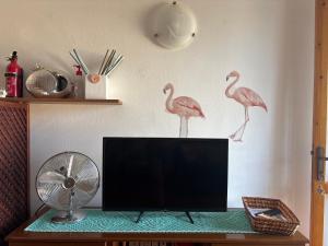 Casa Flamingo House img3